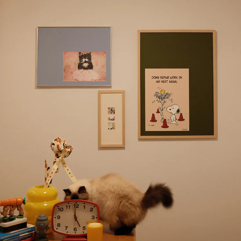 Allset Mat & Frame Collection